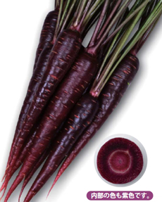 パープルターゲット