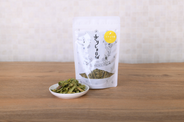 イチョウ（小）