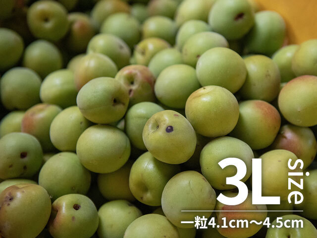 大特価！！紀州南高梅.10kg.訳あり品.農家直送 大特価！！紀州南高梅.10kg.訳あり品.農家直送