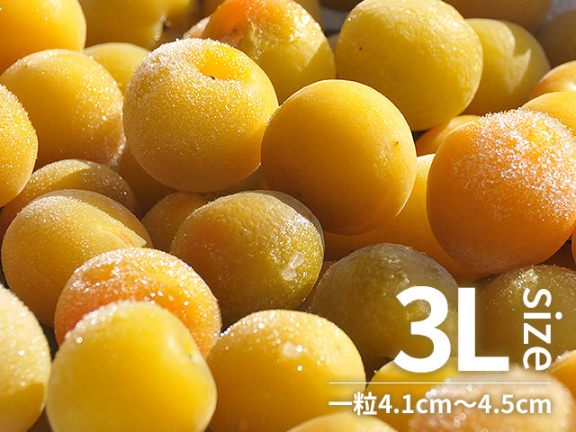 冷凍梅 氷結青梅「NANKOU」厳選完熟梅 3Lサイズ 1kg