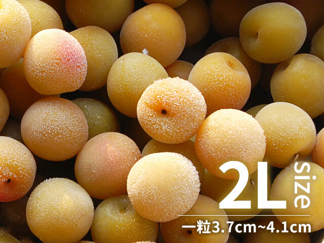 冷凍梅 キズあり完熟梅 2Lサイズ