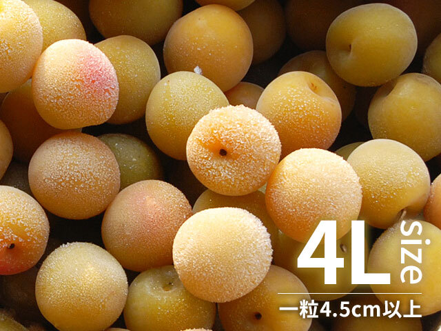 冷凍梅 キズあり完熟梅 4Lサイズ