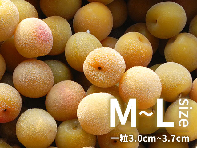 冷凍梅 キズあり完熟梅 M-Lサイズ混在