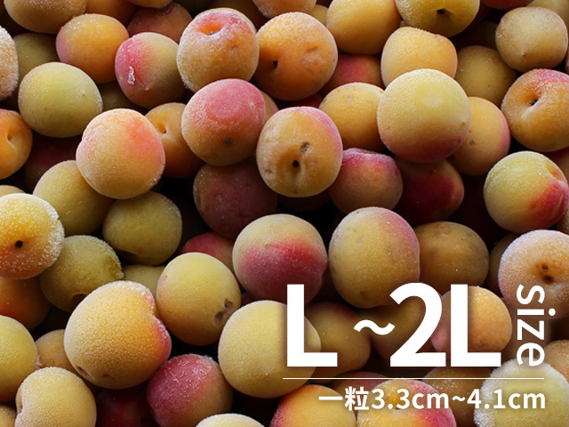 冷凍梅 キズあり紅南高梅 L～2Lサイズ 2kg