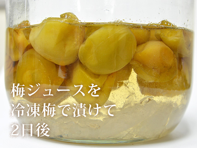 無農薬冷凍梅 南高梅 L～4Lサイズ混在 1kg｜南高梅の農家直送
