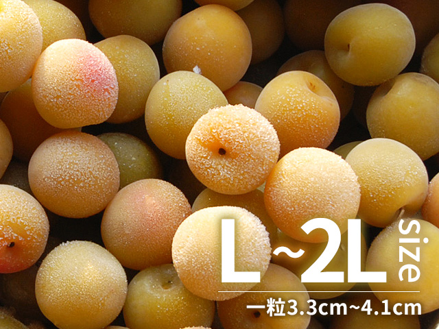 南高梅 冷凍完熟梅 キズあり L～2Lサイズ 3kg