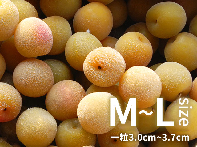 冷凍梅 キズあり完熟梅 M-Lサイズ混在