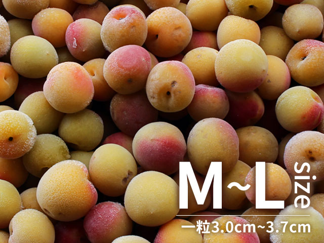 冷凍梅 キズあり紅南高梅 M～Lサイズ