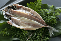 紀州備長炭干し　　真あじ【特大】