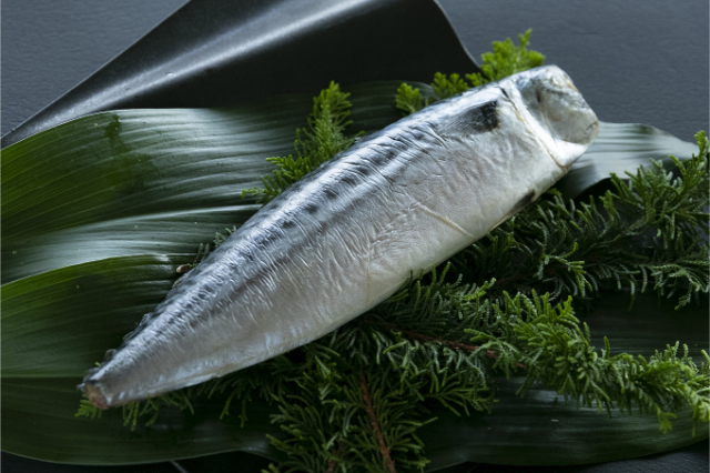【愛媛産】クヌギ炉用胴炭約5kg 皮剥がれ 愛媛産】クヌギ炉用胴炭約5kg 皮剥がれ 楽天市場】胴炭の
