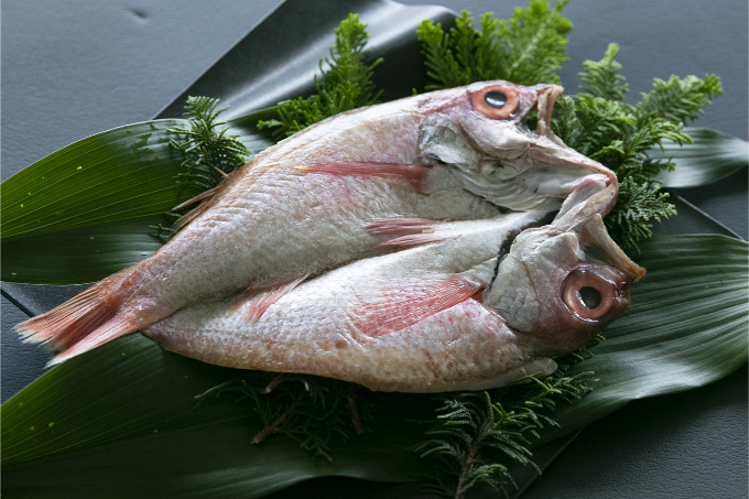 紀州備長炭干し　　釣りのどぐろ(赤むつ)