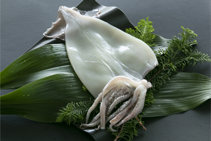 紀州備長炭干しするめいか