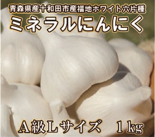 【大特価】青森県産 にんにく L 3kg 福地ホワイト 黒にんにく加工 黒にんにく通販・お取り寄せ｜北国の本気 あおもり屋さん