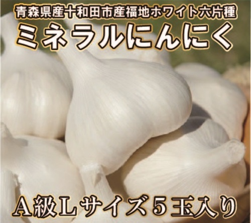 　【青森県産福地ホワイト六片ミネラルにんにく】 A級Lサイズ　5玉入り（約300g前後）