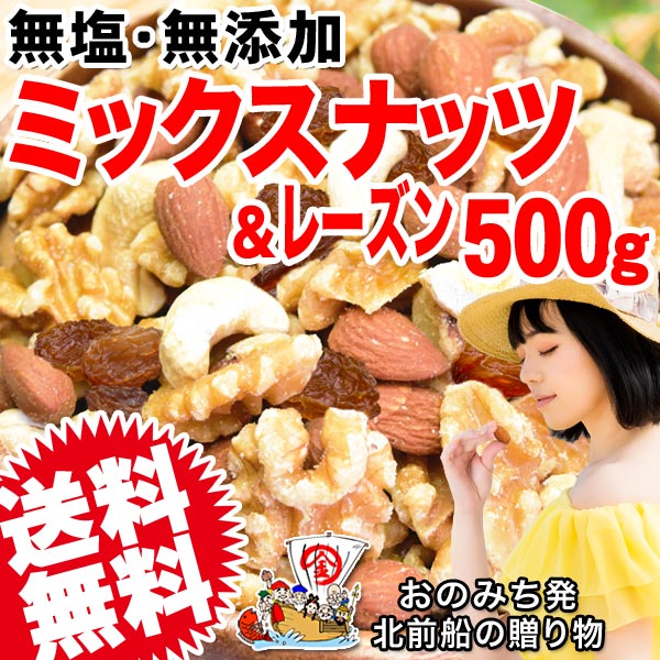 ミックスナッツ & レーズン 500g 無塩 無添加 くるみ アーモンド レーズン カシューナッツ