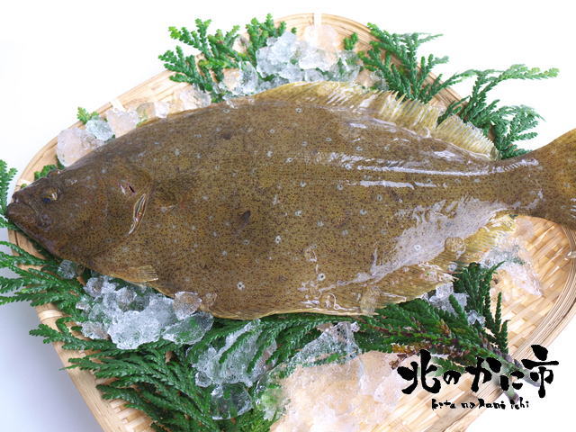 北海道産高級天然活〆平目（ヒラメ・ひらめ）お刺身セット【2025年 お祝いギフト推奨商品】