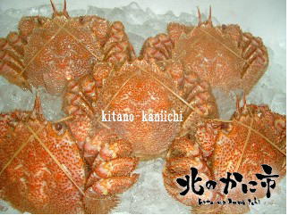 北海道産釜ゆで毛がに 特別5尾セット【今が旬！期間限定セット商品】