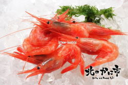 特撰甘エビ（刺身用）　2L／400g【2025年・お祝いギフト推奨商品】