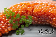 極上天然生筋子（北海道産・新物・未冷凍・生すじこのままお届け）／２５０ｇ前後