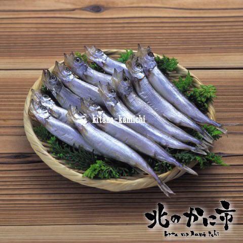 【予約販売】北海道日高富川・鵡川産・広尾産本ししゃも（新物）／20本入