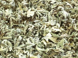 ハーブティー【ローズゼラニウム】リーフＬ　１６ｇ　北海道より減農薬有機肥料の国産ハーブのハーブティーをお届けします