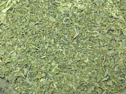 ハーブティー【バジル】リーフＭ　１５ｇ　北海道より減農薬有機肥料の国産ハーブのハーブティーをお届けします