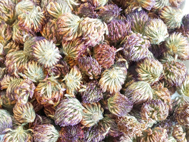 なー　ハーブティー4点 アラレフア ハワイアンハーブブレンドティー ララ（ウォーム