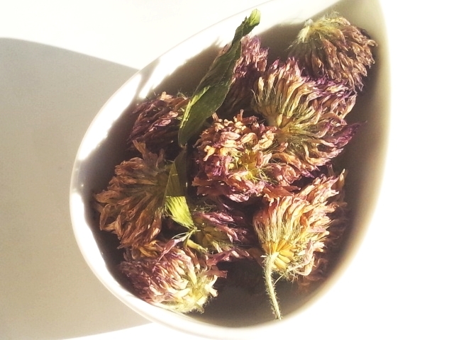 ハーブティー【レッドクローバー】リーフL 北海道より減農薬