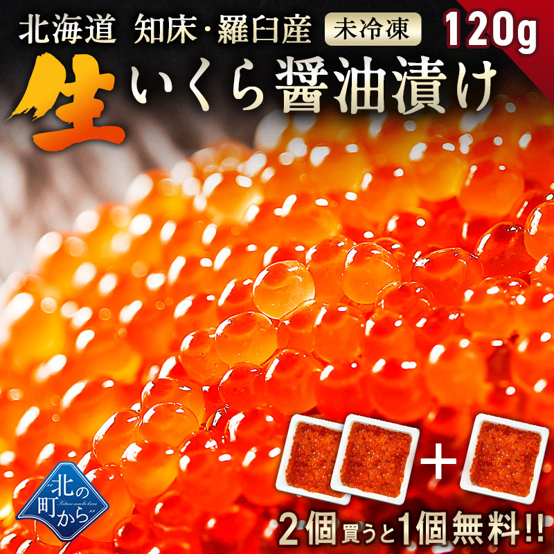 生いくら 醤油漬け 120g 北海道 知床・羅臼産 未冷凍 鮭いくら 最高鮮度を保って漁師が浜で手造りする絶品生いくら！ いくら イクラ【同梱・着日指定不可】【10営業日前後で発送予定※水揚げ次第】【2個ご購入で1個プレゼント中！】