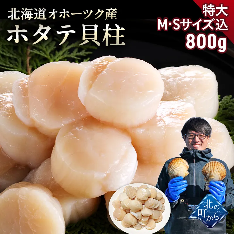 北海道 オホーツク産 ホタテ 800g 特大M・Sサイズ込 目安23粒前後 ホタテ玉冷凍 大粒込み 新鮮なホタテならではの強い甘み、ぷりぷりとした食感をご堪能ください！ 帆立 ほたて ホタテ貝柱