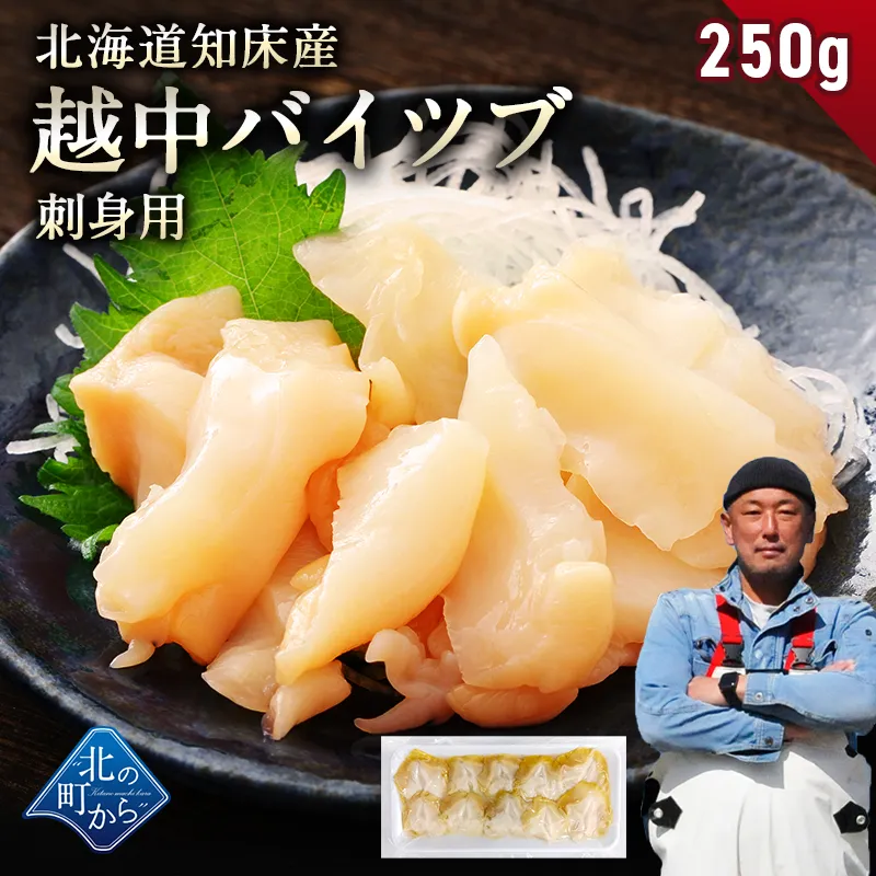 ＼2個まとめ買いで送料無料4,980円／ 北海道知床産 越中バイツブ 開き 刺身用250g ツブ つぶ ツブ貝 つぶ貝 粒貝 バイツブ 生食用 刺身 魚介 海鮮 お取り寄せ 国産 産地直送