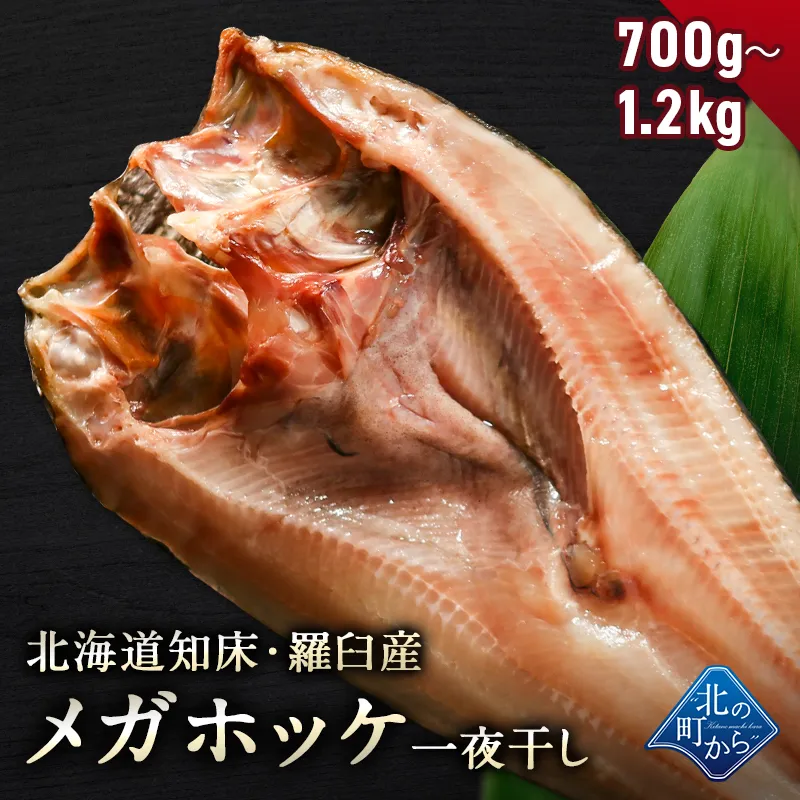 北海道 知床・羅臼産 メガホッケ 一夜干し 700g~1.2kg ほっけ ホッケ 真ほっけ 羅臼ホッケ 干物 お取り寄せ グルメ バーベキュー BBQ  国産 特大 超特大 メガサイズ