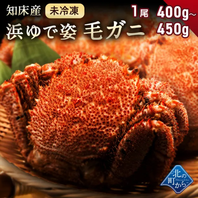 浜ゆで毛蟹4尾入れ　未冷凍 公式】 【終】【完売】【規格変更のため値下】北海道産 浜ゆで