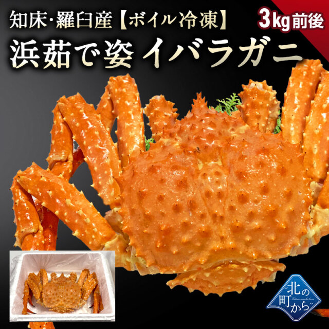 タラバガニより味が濃いと評判の知床・羅臼産 イバラガニ 入荷数極小！【浜茹で急速冷凍 姿】 3kg前後 正真正銘の羅臼産イバラガニは味が濃い！  茨蟹 茨ガニ 茨カニ いばらがに イバラカニ いばらかに 蟹 カニタラバ蟹 たらばがに【12/20より順次発送】