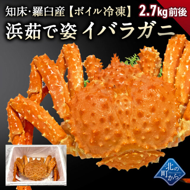 タラバガニより味が濃いと評判の知床・羅臼産 イバラガニ 入荷数極小