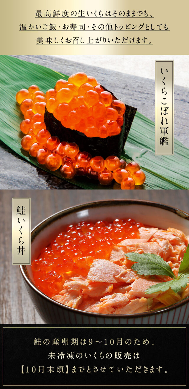 生いくら 醤油漬け 120g 北海道 知床・羅臼産 未冷凍 鮭いくら 最高