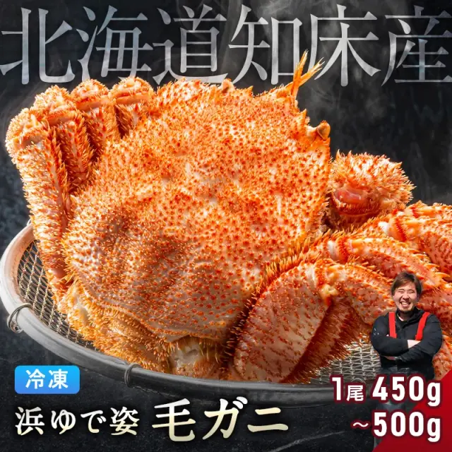 毛ガニ 希少な知床産 450g～500g 【浜茹で急速冷凍 姿】 採れたての毛蟹を新鮮なうちに浜茹でに！ 毛蟹 毛カニ 毛かに 毛がに カニ 蟹