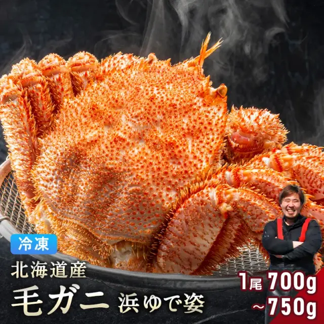 北海道産 毛ガニ 700g～750g 【浜茹で急速冷凍 姿】 採れたての毛蟹を新鮮なうちに浜茹でに！ 毛蟹 毛カニ 毛かに 毛がに カニ 蟹