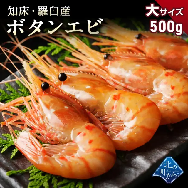 北海道 知床・羅臼産 ボタンエビ大500g 目安15尾前後 とろける甘み、プリっとした歯ごたえ、高級料亭の味をご自宅で。ボタンエビ 牡丹海老 ぼたんえび ボタン海老