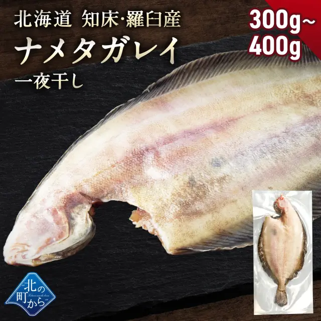 北海道 知床・羅臼産 ナメタガレイ 一夜干し 1枚 (300g～400g) ナメタ かれい なめたがれい 魚 ババガレイ 干物 冷凍 北海道土産 お取り寄せ グルメ 産地直送