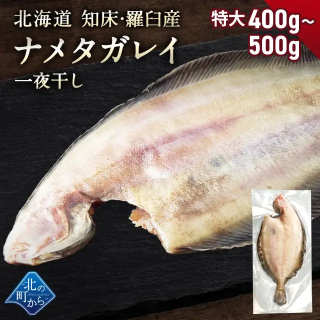 北海道 知床・羅臼産 ナメタガレイ 一夜干し 1枚 (特大 400g～500g) ナメタ かれい なめたがれい 魚 ババガレイ 干物 冷凍 北海道土産 お取り寄せ グルメ 産地直送