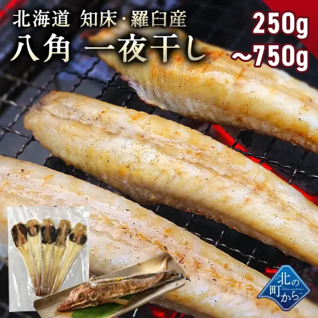 八角 北海道 知床・羅臼産 八角一夜干し 1袋250g (5本前後入り) ハッカク はっかく 魚 干物  冷凍干物 お取り寄せ 国産 珍味 BBQ