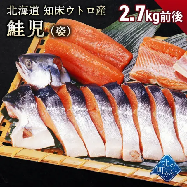 幻の鮭 鮭児 2.7kg前後 姿 北海道 知床ウトロ産 けいじ ケイジ 高級魚