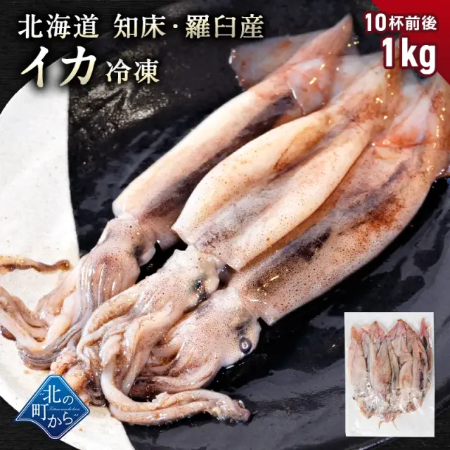 スルメイカ 1kg(10杯前後) 北海道 知床・羅臼産 するめいか まめいか 豆いか いか イカ 烏賊 生冷 冷凍 お取り寄せ 国産 送料無料