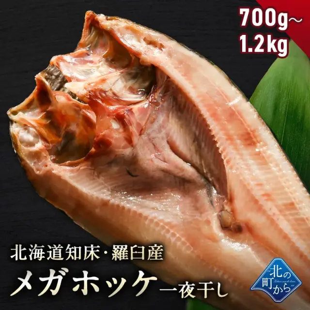 北海道 知床・羅臼産 メガホッケ 一夜干し 700g〜1.2kg ほっけ ホッケ 真ほっけ 羅臼ホッケ 干物 お取り寄せ グルメ バーベキュー BBQ  国産 特大 超特大 メガサイズ
