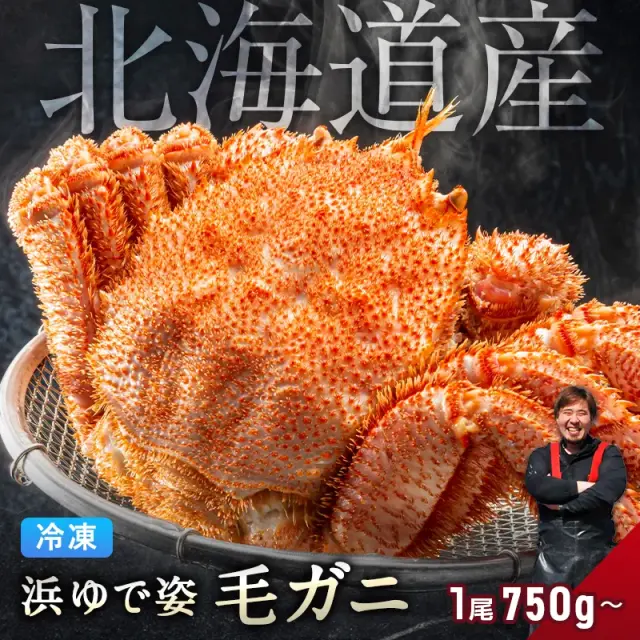 北海道産 毛ガニ 750g～ 特大サイズ 【浜茹で急速冷凍 姿】 毛蟹 毛カニ 毛かに 毛がに カニ 蟹 お取り寄せ グルメ 送料無料