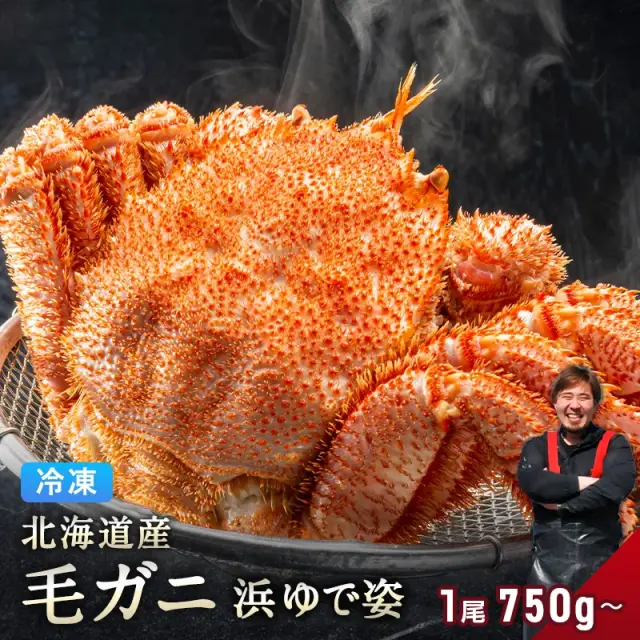 北海道産 毛ガニ 750g～ 特大サイズ 【浜茹で急速冷凍 姿】 毛蟹 毛カニ 毛かに 毛がに カニ 蟹 お取り寄せ グルメ 送料無料