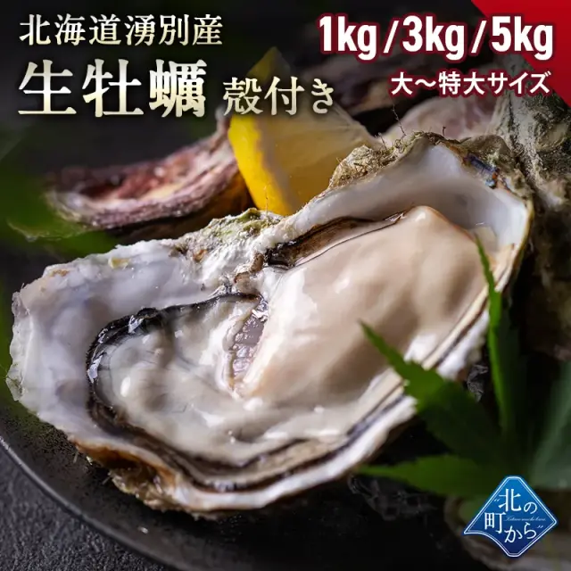【ご予約商品】北海道 湧別町 生牡蠣 殻付き 500g/1kg 大粒～特大 小分け 冷蔵 オホーツク海産 かき カキ 生カキ オイスター 牡蠣鍋 カキフライ グルメ お取り寄せ【同梱不可】【水揚げ次第順次発送】【沖縄・離島へはお届け不可】
