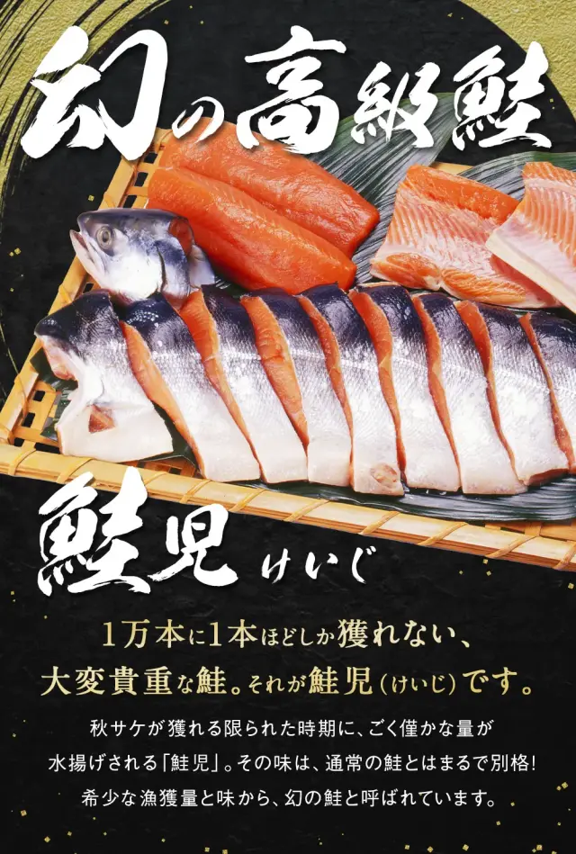 鮭わさび 小川にサケ遡上 | フォトライブラリー | あさひ暮らし旅〈朝日町