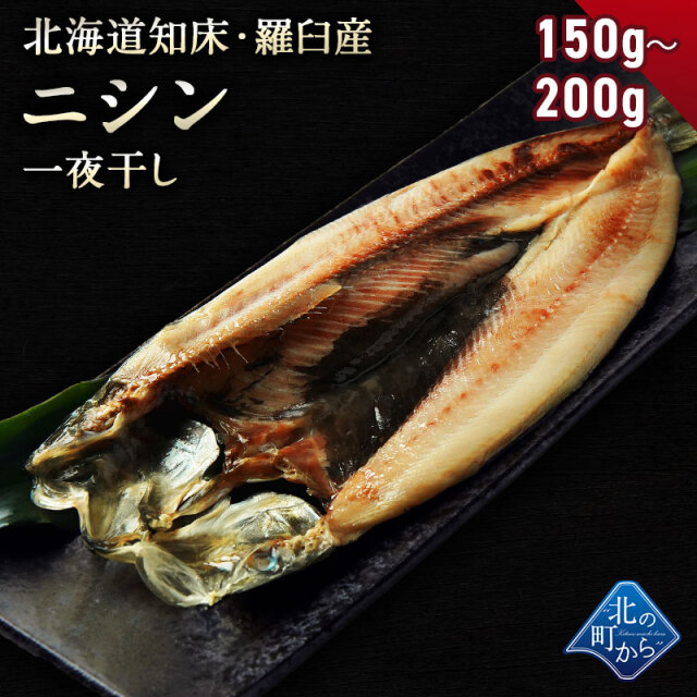 ニシン 栄養満点 知床 羅臼産 一夜干し 150g 0g にしん 鰊 北の町から 北海道知床 羅臼発 漁師直送便